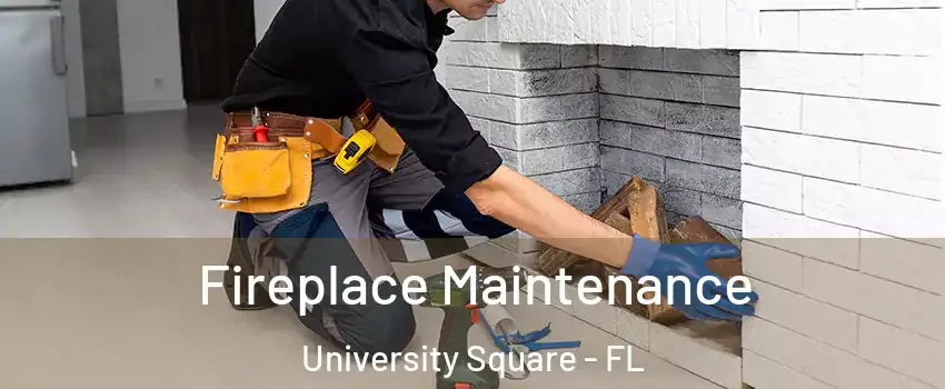 Fireplace Maintenance University Square - FL