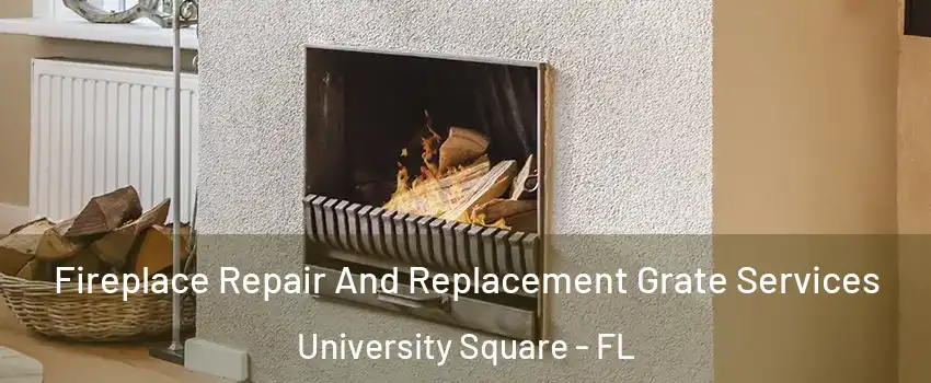 Fireplace Repair And Replacement Grate Services University Square - FL