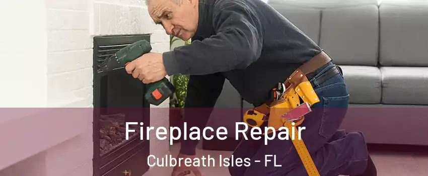 Fireplace Repair Culbreath Isles - FL