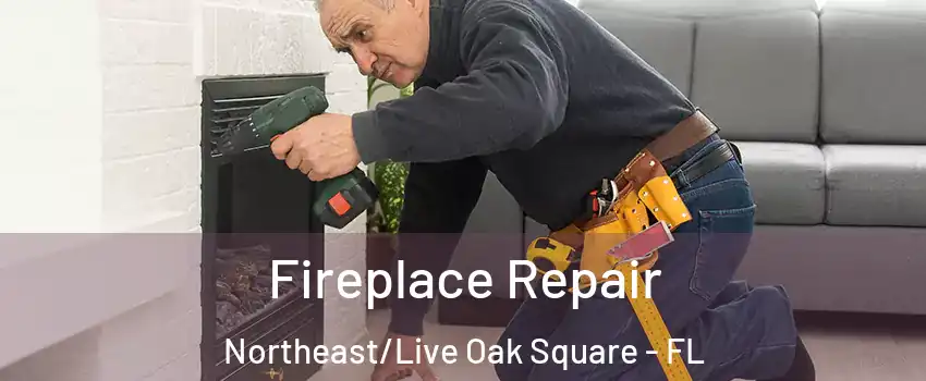 Fireplace Repair Northeast/Live Oak Square - FL