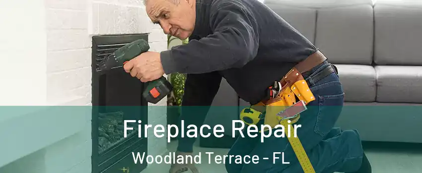 Fireplace Repair Woodland Terrace - FL