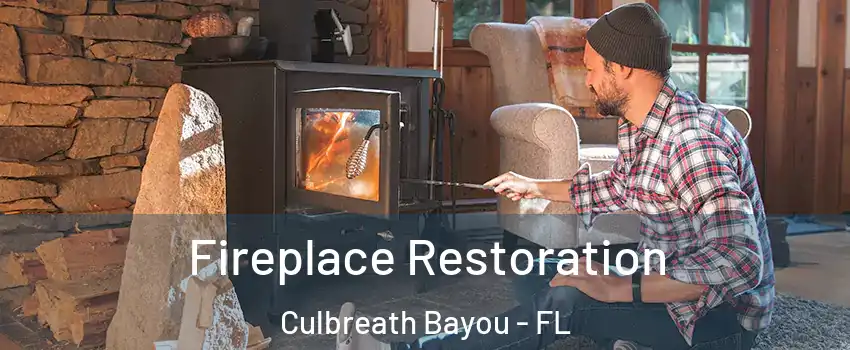 Fireplace Restoration Culbreath Bayou - FL