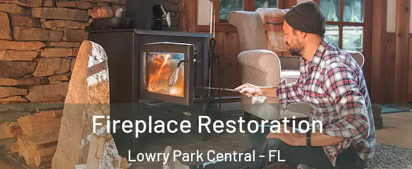 Fireplace Restoration Lowry Park Central - FL