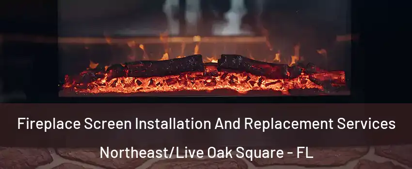 Fireplace Screen Installation And Replacement Services Northeast/Live Oak Square - FL