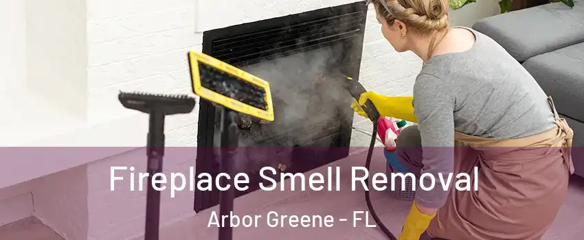 Fireplace Smell Removal Arbor Greene - FL