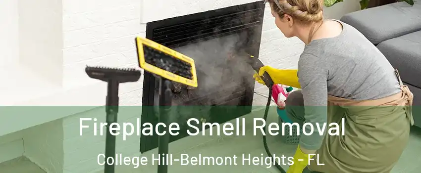 Fireplace Smell Removal College Hill-Belmont Heights - FL