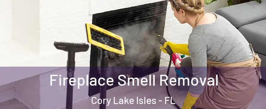 Fireplace Smell Removal Cory Lake Isles - FL