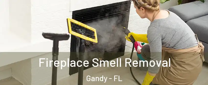 Fireplace Smell Removal Gandy - FL