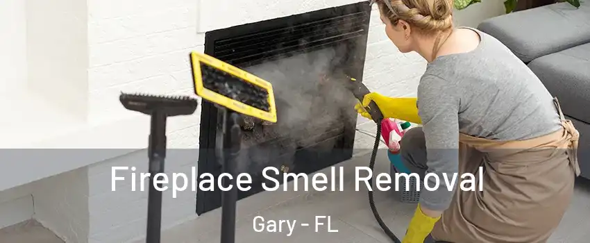 Fireplace Smell Removal Gary - FL