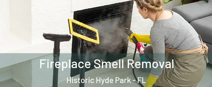 Fireplace Smell Removal Historic Hyde Park - FL