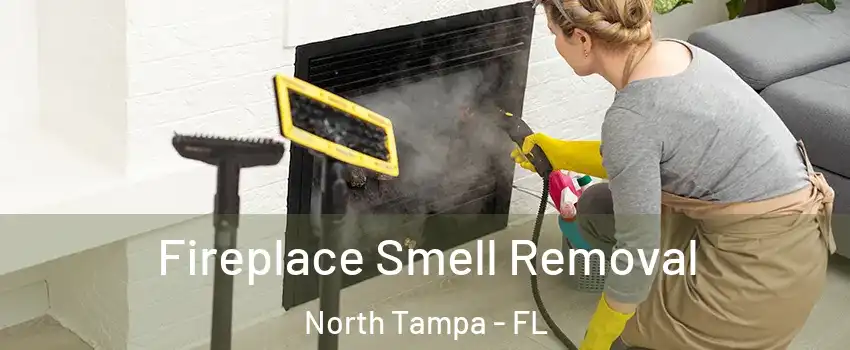 Fireplace Smell Removal North Tampa - FL