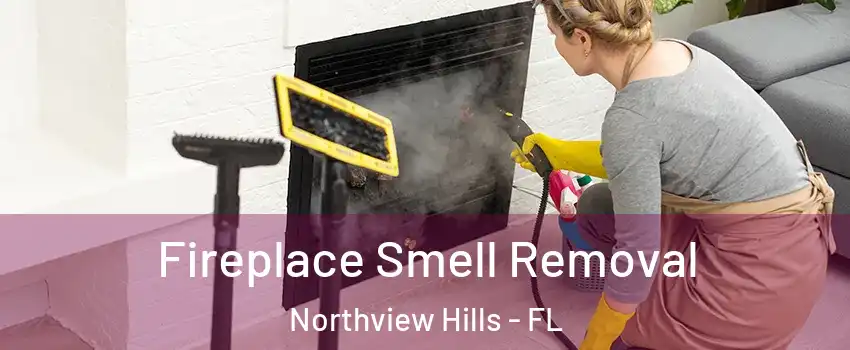 Fireplace Smell Removal Northview Hills - FL