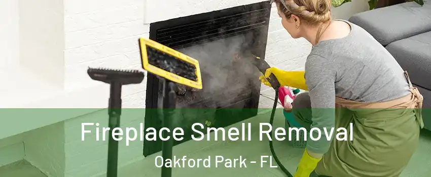 Fireplace Smell Removal Oakford Park - FL