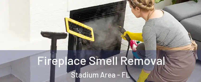 Fireplace Smell Removal Stadium Area - FL