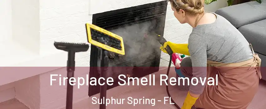 Fireplace Smell Removal Sulphur Spring - FL