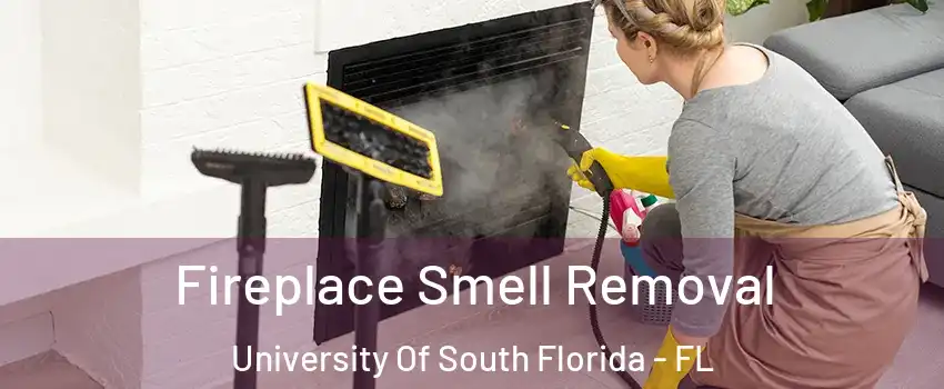 Fireplace Smell Removal University Of South Florida - FL