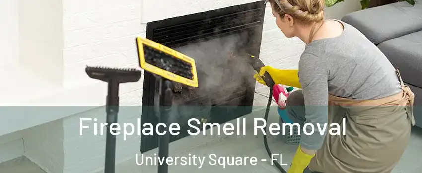 Fireplace Smell Removal University Square - FL