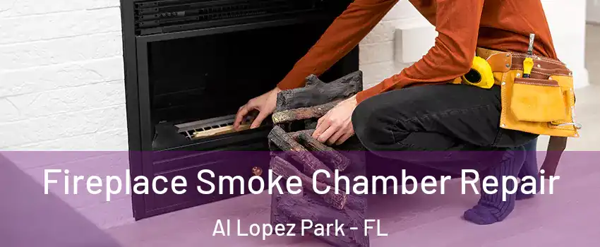 Fireplace Smoke Chamber Repair Al Lopez Park - FL