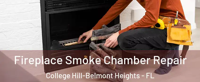 Fireplace Smoke Chamber Repair College Hill-Belmont Heights - FL