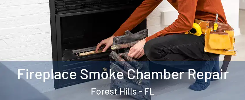 Fireplace Smoke Chamber Repair Forest Hills - FL