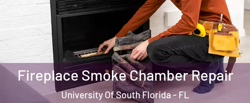 Fireplace Smoke Chamber Repair University Of South Florida - FL