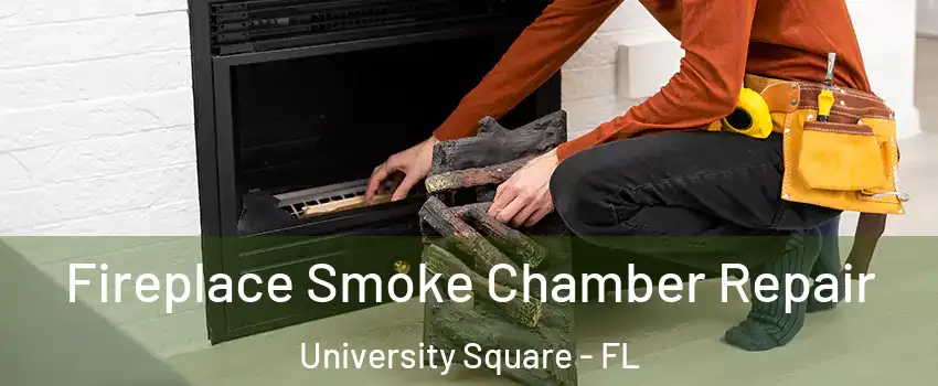 Fireplace Smoke Chamber Repair University Square - FL