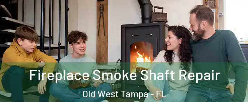 Fireplace Smoke Shaft Repair Old West Tampa - FL