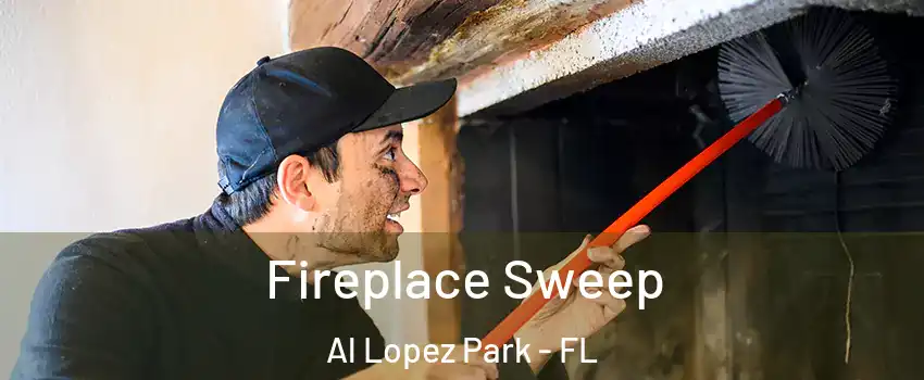 Fireplace Sweep Al Lopez Park - FL