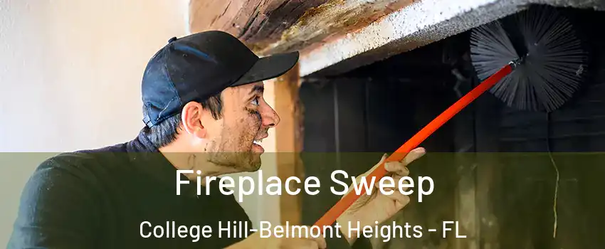 Fireplace Sweep College Hill-Belmont Heights - FL