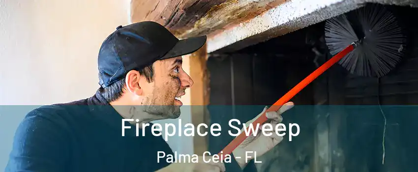 Fireplace Sweep Palma Ceia - FL