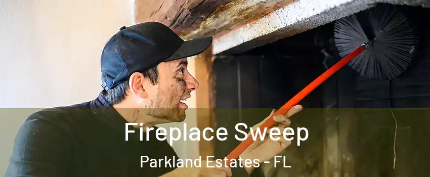 Fireplace Sweep Parkland Estates - FL