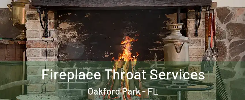 Fireplace Throat Services Oakford Park - FL