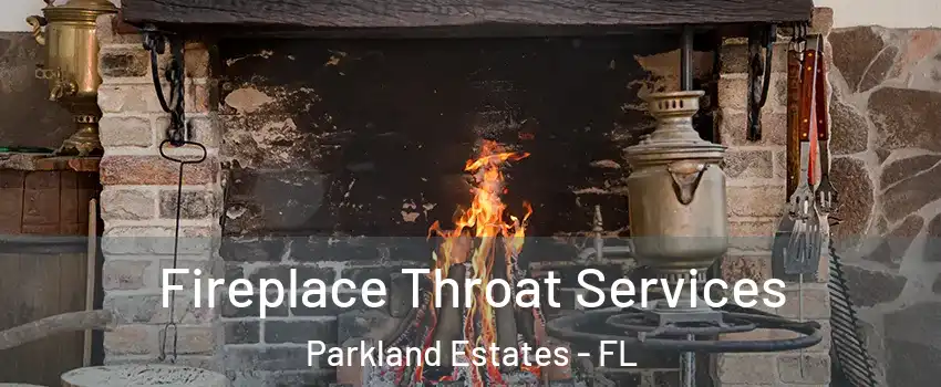 Fireplace Throat Services Parkland Estates - FL