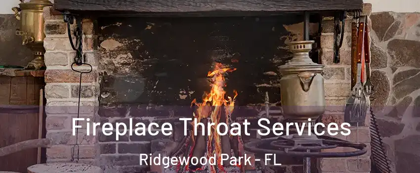 Fireplace Throat Services Ridgewood Park - FL