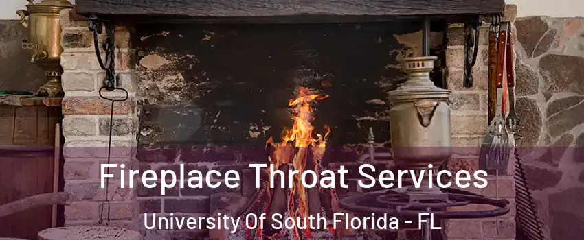 Fireplace Throat Services University Of South Florida - FL