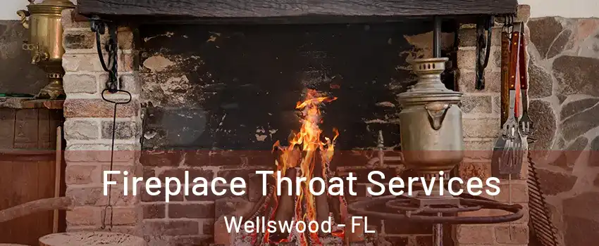 Fireplace Throat Services Wellswood - FL