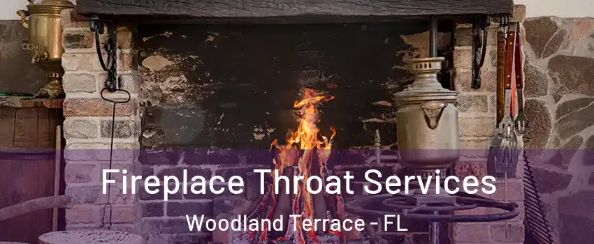 Fireplace Throat Services Woodland Terrace - FL