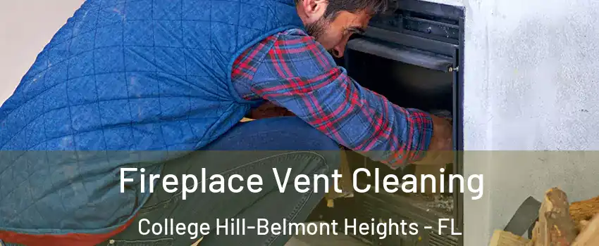 Fireplace Vent Cleaning College Hill-Belmont Heights - FL