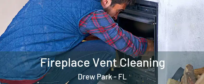 Fireplace Vent Cleaning Drew Park - FL