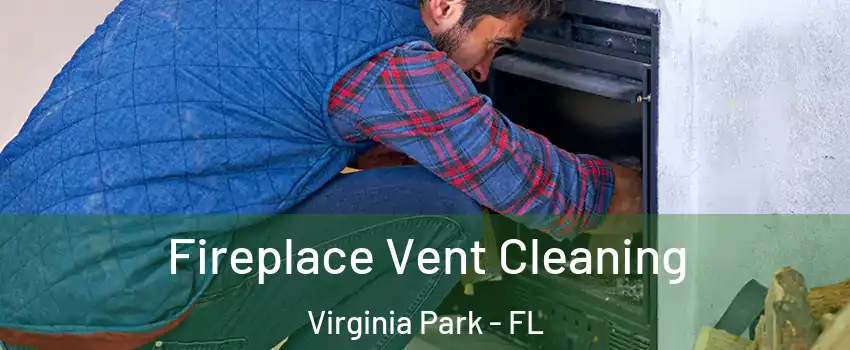 Fireplace Vent Cleaning Virginia Park - FL