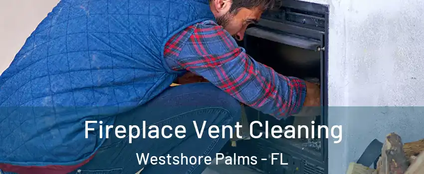 Fireplace Vent Cleaning Westshore Palms - FL