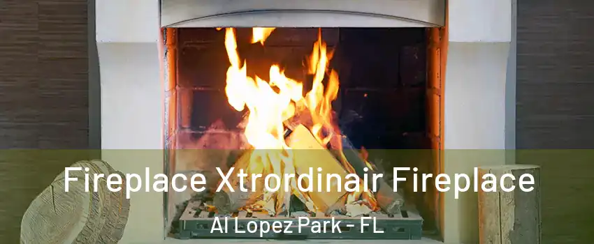 Fireplace Xtrordinair Fireplace Al Lopez Park - FL