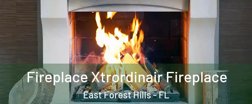 Fireplace Xtrordinair Fireplace East Forest Hills - FL