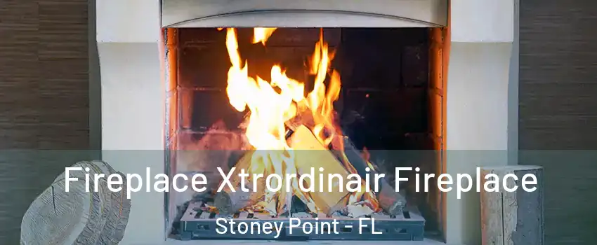 Fireplace Xtrordinair Fireplace Stoney Point - FL