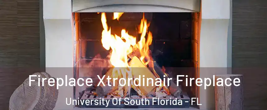 Fireplace Xtrordinair Fireplace University Of South Florida - FL