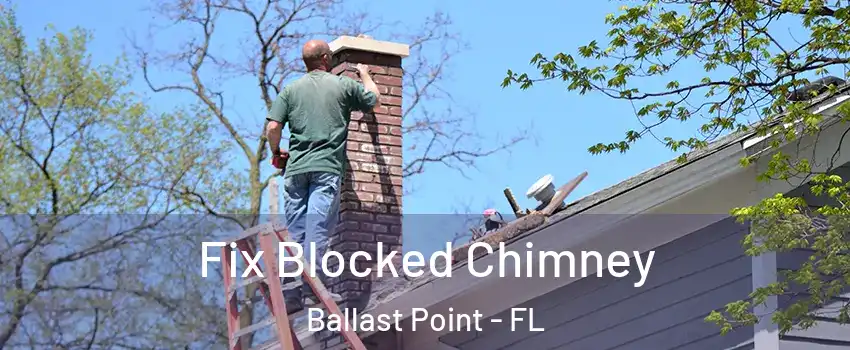 Fix Blocked Chimney Ballast Point - FL