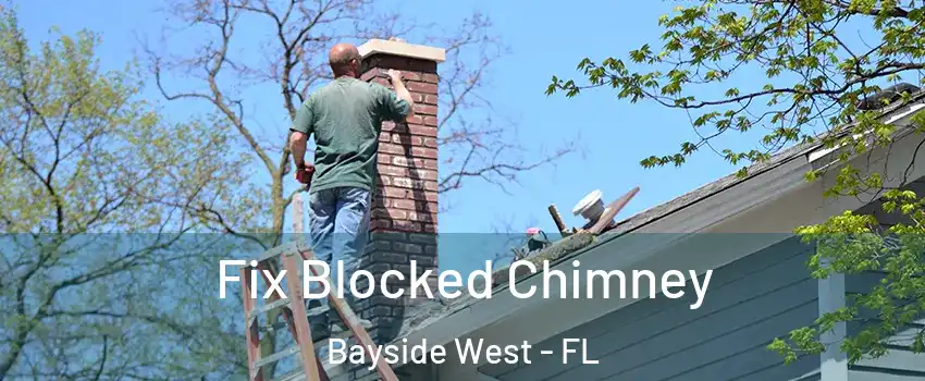 Fix Blocked Chimney Bayside West - FL