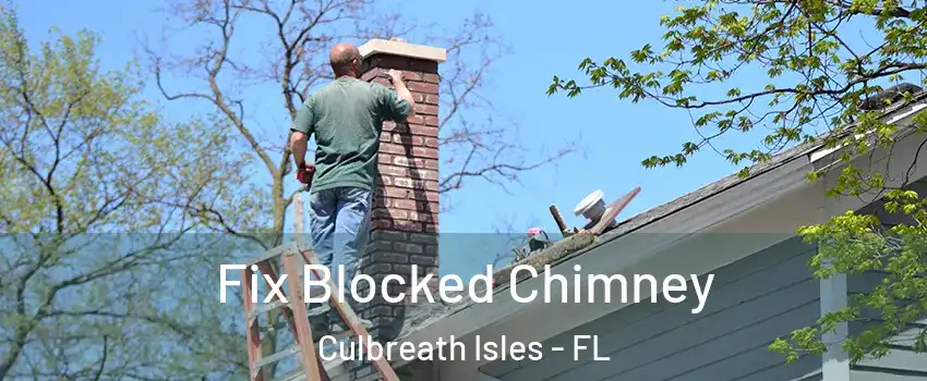 Fix Blocked Chimney Culbreath Isles - FL