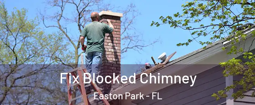 Fix Blocked Chimney Easton Park - FL