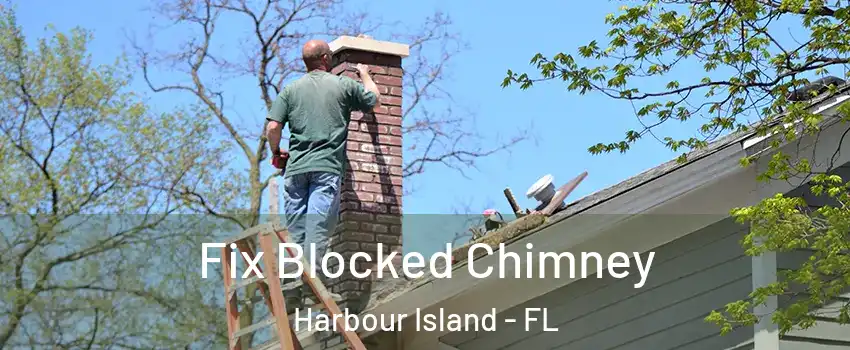 Fix Blocked Chimney Harbour Island - FL